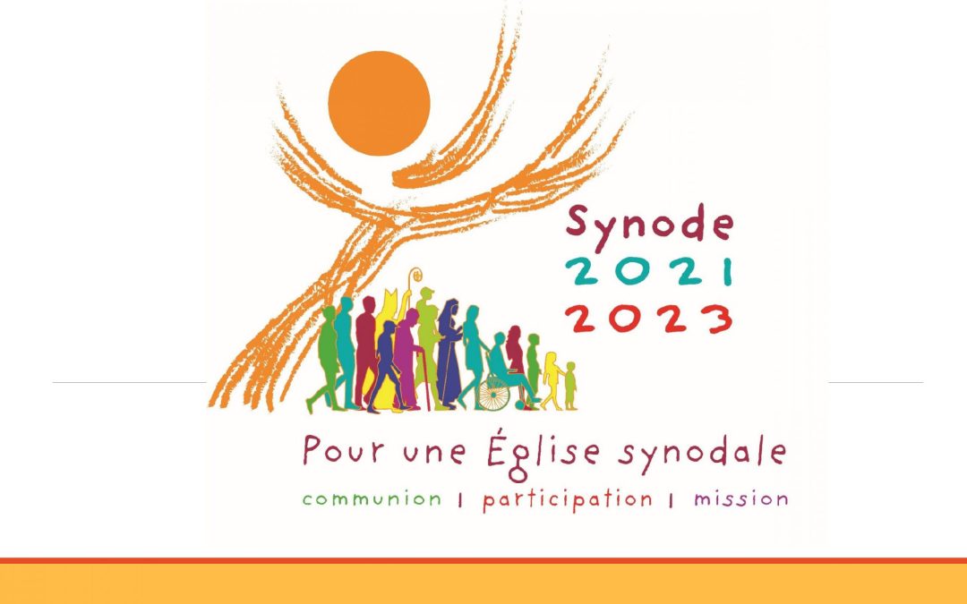 FRANCE, Diocese of Aveyron, The Synod: easy to read, easy to understand