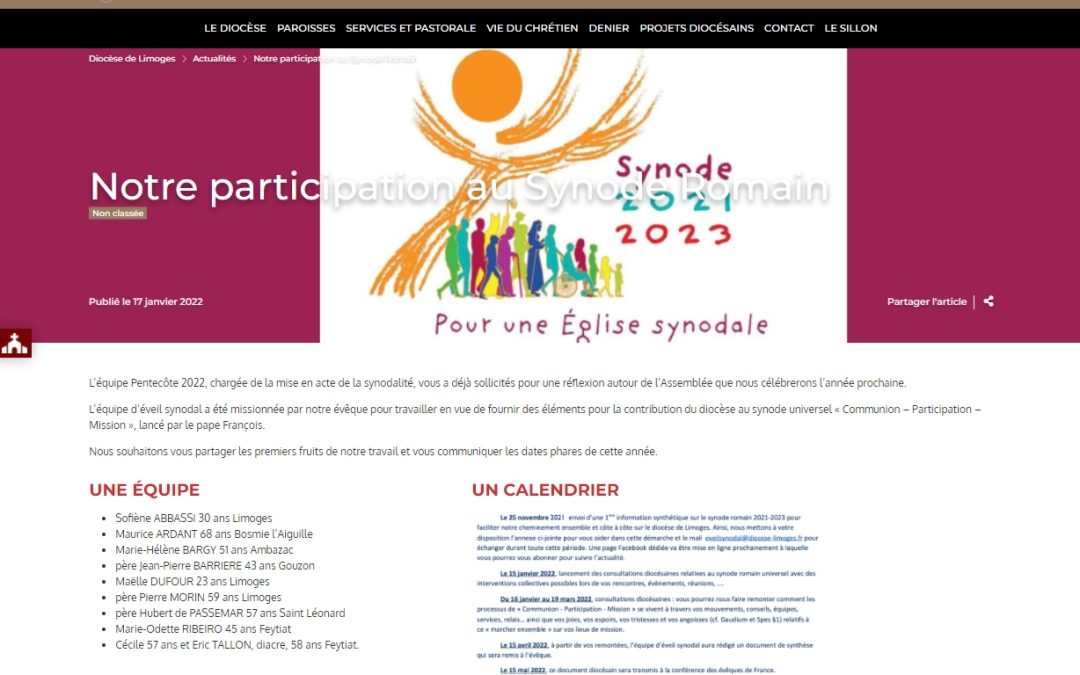 France (Limoges), Our participation to the synod