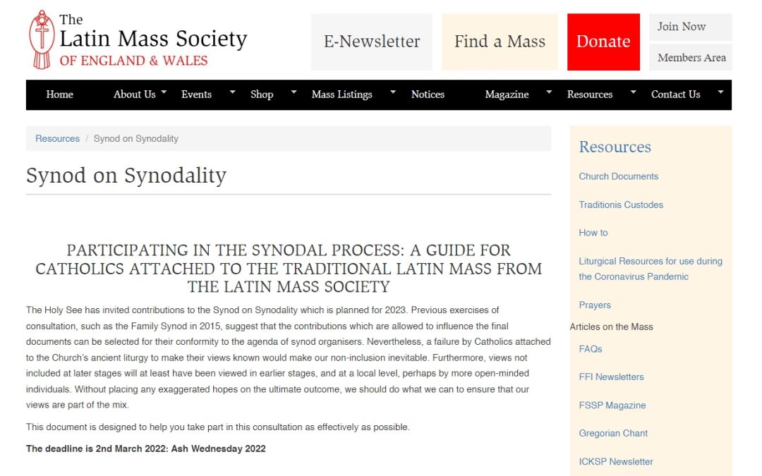 A Guide for Catholics attached to the Traditional Latin Mass