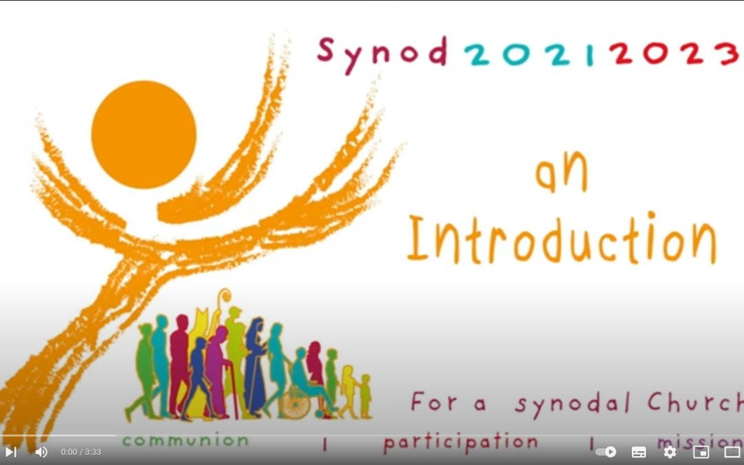 10 videos to understand the synod