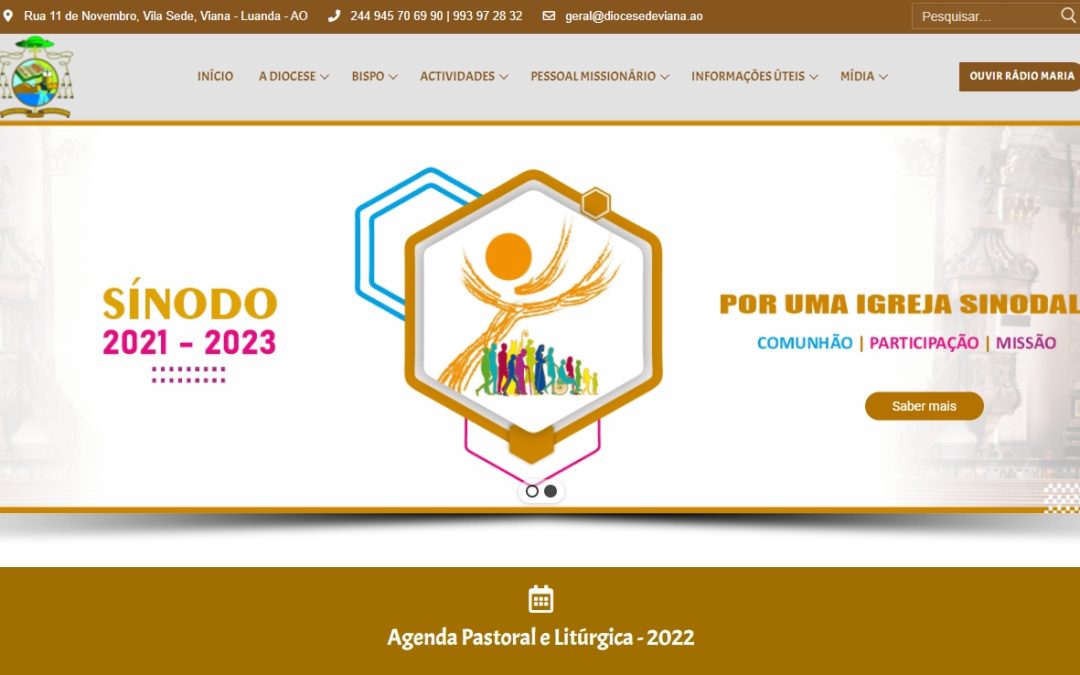 ANGOLA, Diocese of Viana, Synodal Activities