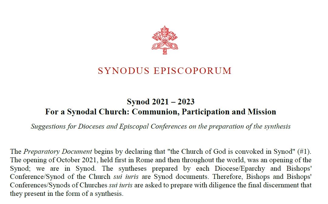Suggestion for the synthesis of the consultation.