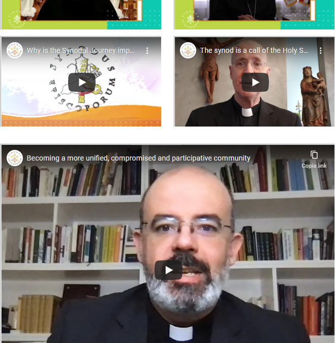 What do priests think about the Synod?