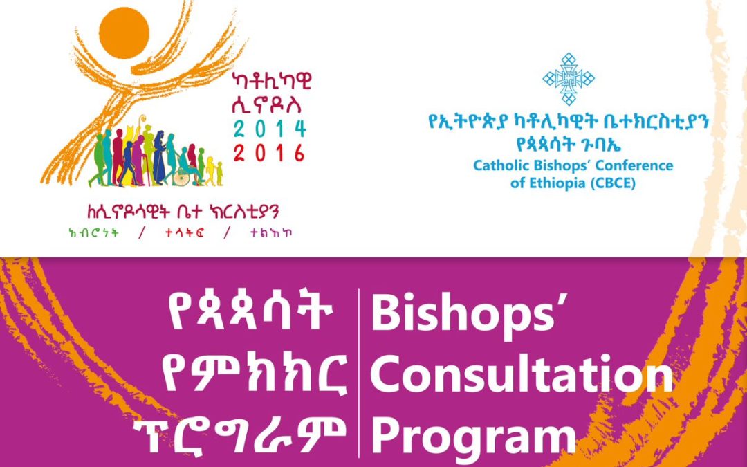 Consultation meeting in Ethiopia      