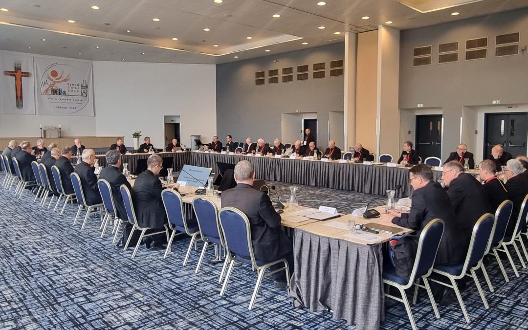 Continental Assembly of the Synod, the commitment of the bishops