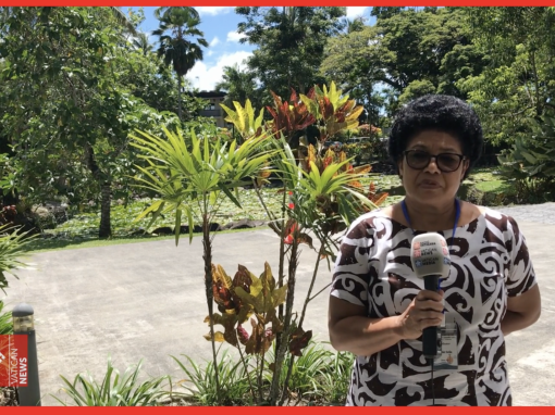 Witnessing synodality