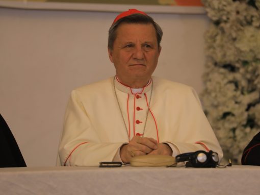 The synod needs an African Theology elaborated by the whole People of God