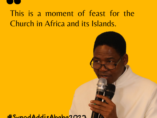 Share African Experience of Synod on Synodality