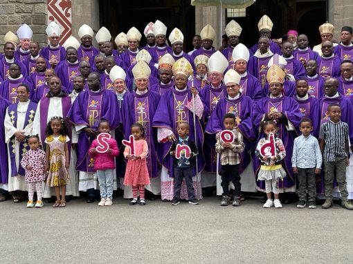 IN AFRICA, THE SYNOD IS ON!