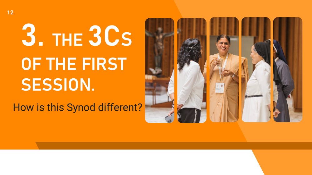 Synod’s Fruit/ India: What’s Next in the Church in India