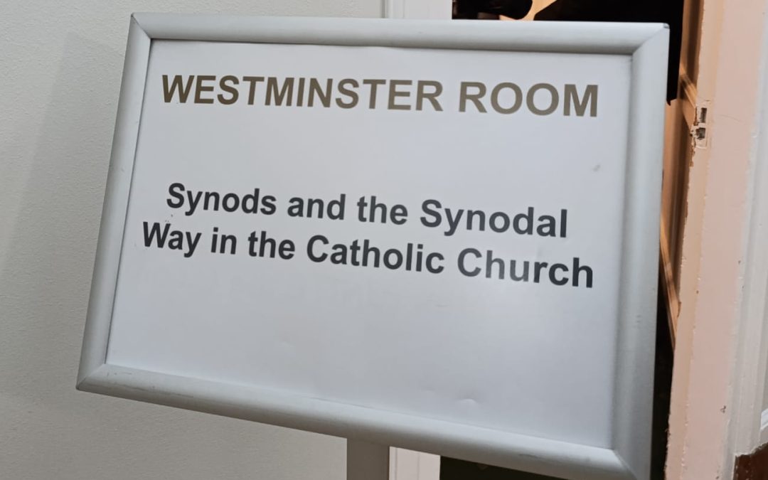 The Synod on Synodality at the Anglican Synod
