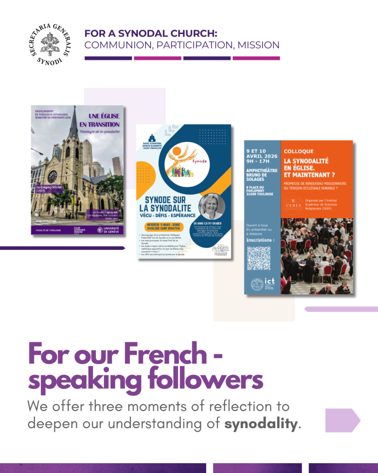 Synod Events in France