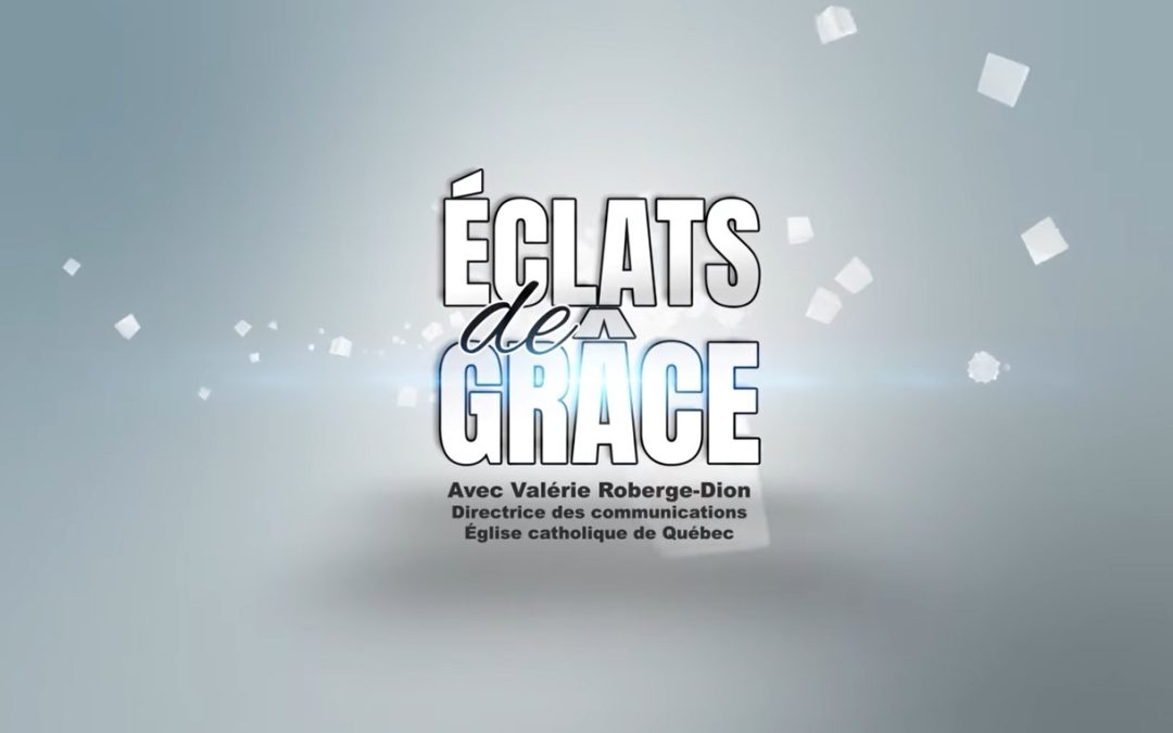 Synodality from every angle