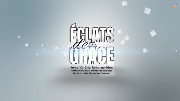 Synodality from every angle