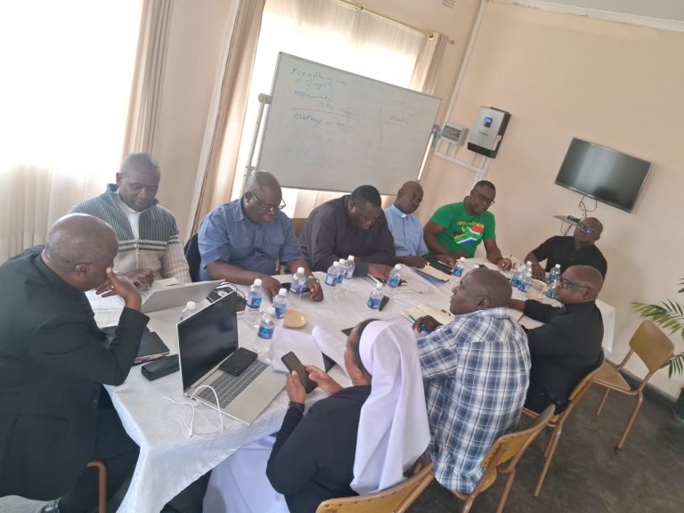 Zimbabwe: another way of implementing synodality